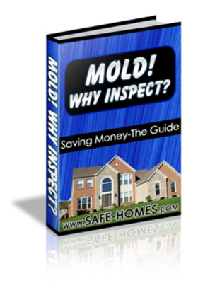 Product picture Mold!  Why Inspect?